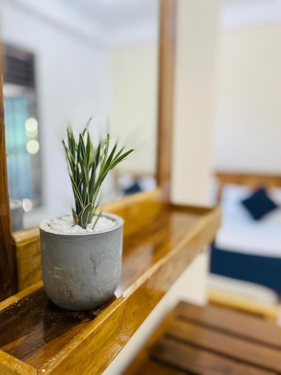 Natraj Guest House Trincomalee Εξωτερικό φωτογραφία